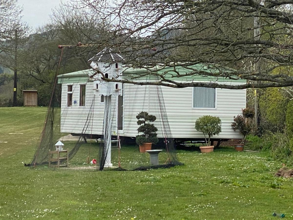 The Nest - Family Friendly Caravan Nr Glastonbury & Street Somerton (Somerset) Exterior foto